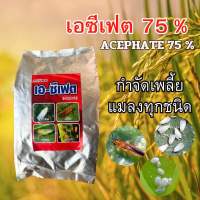 อะซีเฟต กำจัดเพลี้ยจักจั่นในสวนทุเรียน ขนาด 1 กิโลกรัม 10 โล (ซื้อ10แถม1)