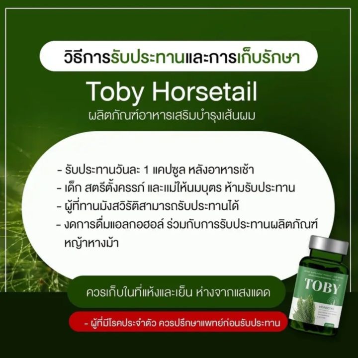 toby-horsetail-ผลิตภัณฑ์ดูแล-ผิว-ผม-เล็บ-ลดการขาดหลุดร่วง-กระตุ้นการเกิดใหม่ของเส้นผม