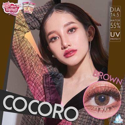 (สายตาปกติ) kitty kawaii cocoro brown บิ๊กอาย