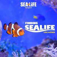 [E- Ticket] SeaLife Bangkok บัตรซีไลฟ์โอเชี่ยนเวิลด์ สยามพารากอน