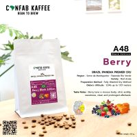 เมล็ดกาแฟคั่ว Ipanema Premier CRU A48 Berry