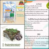 ไมคอไรซ่า Mycorrhiza 200กรัม เชื้อราไมคอร์ไรซ่า เชื้อราชีวภาพกระตุ้นพืชโตเร็ว