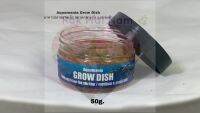 Squamania Grow Dish อาหารปลาขนาดเล็ก ขนาดกลาง กุ้ง แบบจมช้า