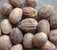 Nutmeg (जायफल) 50g.จันทน์เทศ 50g.