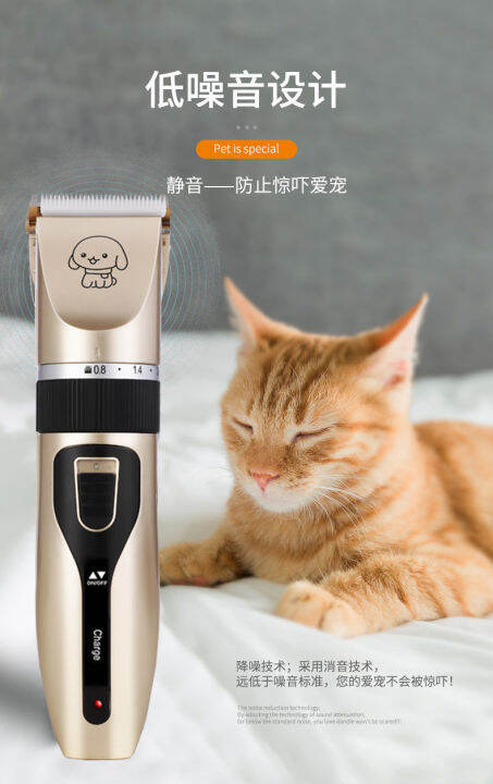 Cat grooming tools outlet shaver