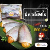 (เจ้าเก่าร้านดัง) ปลาสลิดมีไข่ทุกตัว 4 - 5 ตัว 500 กรัม