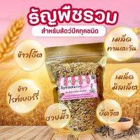 Silky chicken food-MIX grain#1 ธัญพืญรวมแสนอร่อย