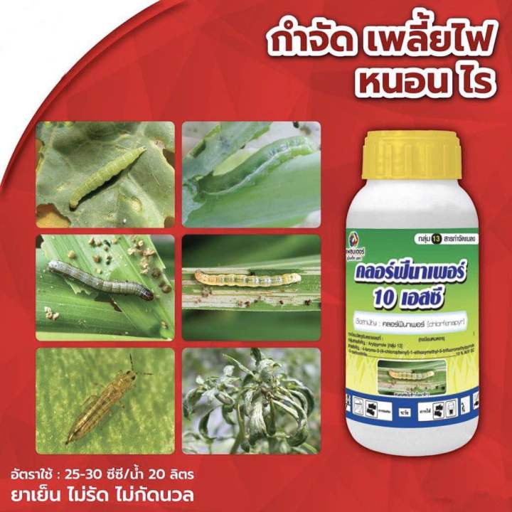 คลอร์ฟีนาเพอร์-10-เอส-ซี-chlorfenapyr10-sc