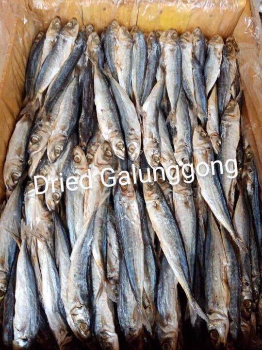 Dried Fish Galunggong 12 Kilo Lazada Ph