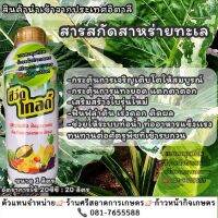 ซีวิดโกลด์ ฟื้นฟูลำต้น,เร่งดอก,ติดผล กระตุ้นการแทงยอด,กระตุ้นแทงตาดอก