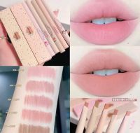 cappuvini lip liner ไลเนอร์เขียนขอบปาก ลิปหมี