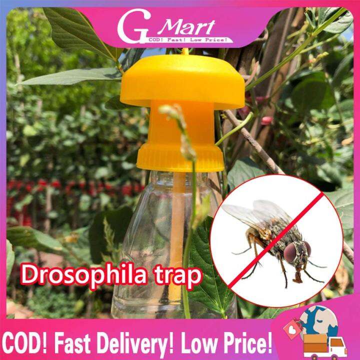 Fruit Fly Killer Indoor Outdoor Plastic Garden Matched with Water