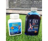 Gluta GX1(250ml.) + Dimilin (ดิมิลิน) 50 g.