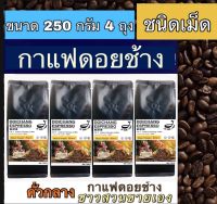 กาแฟดอยช้าง ( ชนิดเม็ดคั่วกลาง ) 1 kg. ส่งตรงจากเจ้าของสวน Medium Roast 1 kg.Arabica100% by farmer- Beans 250 g. 4 ถุงกาแฟคุมหิว กาแฟชงขายหน้าร้าน กาแฟดริป