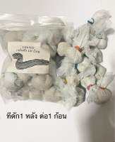 เหยื่อดักปลาใหล( สำเร็จรูป 1ชุด) 50ก้อน  ที่สุดของเหยื่อปลาใหล