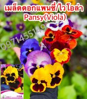 เมล็ดพันธ์ุเมล็ดดอกแพนซี่คละสี                เมล็ดดอกแพนซี่/ไวโอล่า/ดอกหน้าแมว 50 เมล็ด Pansy(Viola) เมล็ดนำเข้า พันธุ์แท้100%