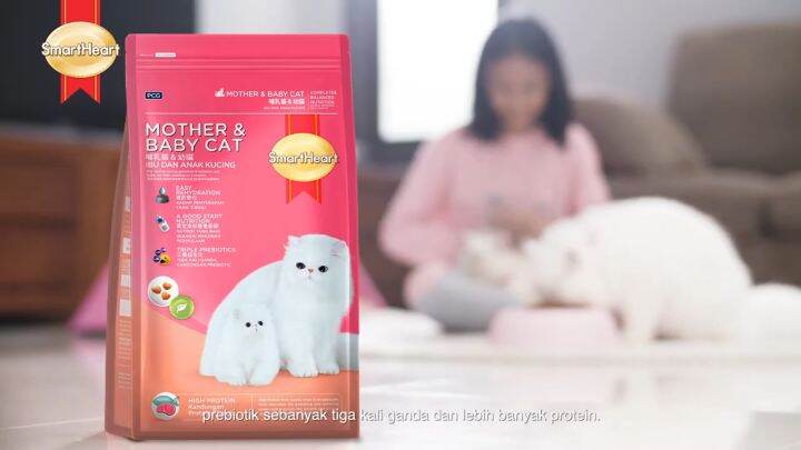 royal-canin-mother-babycat-ultra-soft-mousse-in-sauce-wet-cat-food-3