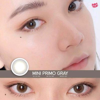 Mini Primo Gray (ขนาด14.2) มีค่าสายตาและสายตาปกติ คอนแทคเลนส์  คิตตี้ คาวาอิ
