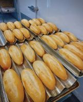 ขนมปังปาเต้20ก้อน Baguette ขนาด 20ซม เจ้าดั้งเดิม มีราคาส่ง ผลิตสดใหม่จากเตา ไม่มีไส้ นำเข้าใหม่ทุกวัน กรอบ นุ่ม