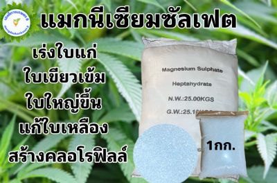 ปุ๋ยเกล็ด แมกนีเซียมซัลเฟต ดีเกลือฝรั่ง / Magnesium sulfate Heptahydrate 99.5% ขนาด 1,000 กรัม