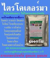 ไตรโคเดอร์มา 500 กรัม กำจัดเชื้อรา แก้โรครากเน่า โคนเน่า ใบไหม้ ใบด่าง ใบจุด ใบเหลืองหลุดร่วง แคงเกอร์ แอนแทรคโนส ยางไหล