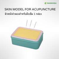 กล่องผิวหนังจำลอง ยี่ห้อจงเหยียน ใช้สำหรับการฝังเข็ม Skin model for acupuncture By Fangkhem