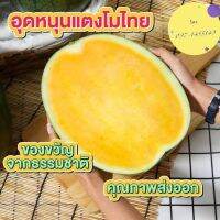 เมล็ดพันธุ์ แตงโมคิงส์เยลโล่ เนื้อกรอบ เปลือกบาง หวานหอม