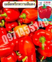 เมล็ดพริกหวาน /แดง/ 50 เมล็ด Bell Pepper Color เมล็ดนำเข้า สายพันธุ์ OP