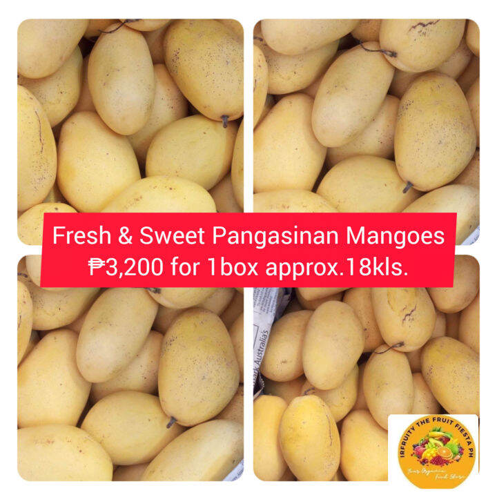 Growing Golden Healthy Crops Ph F.S PANGASINAN MANGOES (FREE SHIPPING