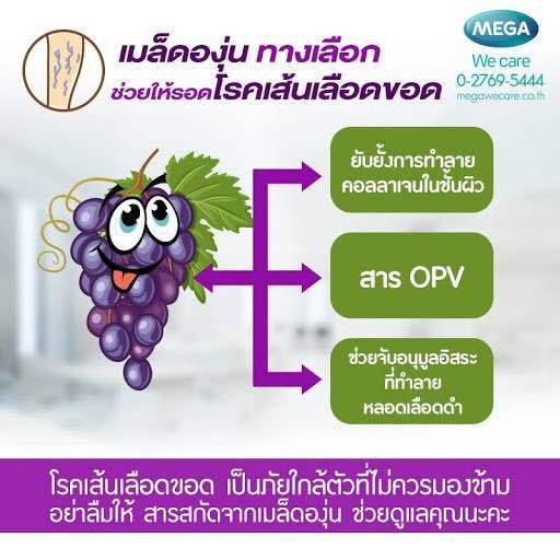 mega-we-care-grape-seed-extract-20mg-สารสกัดจากเมล็ดองุ่น-เพื่อผิวกระจ่างใส-รักษาเส้นเลือดขอด