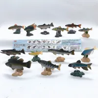 กาชาปอง โมเดลสัตว์ ปลาจิ๋ว ฟิกเกอร์ปลา Freshwater Fish Collection vol. 1 Gashapon (Set of 13) by Yujin