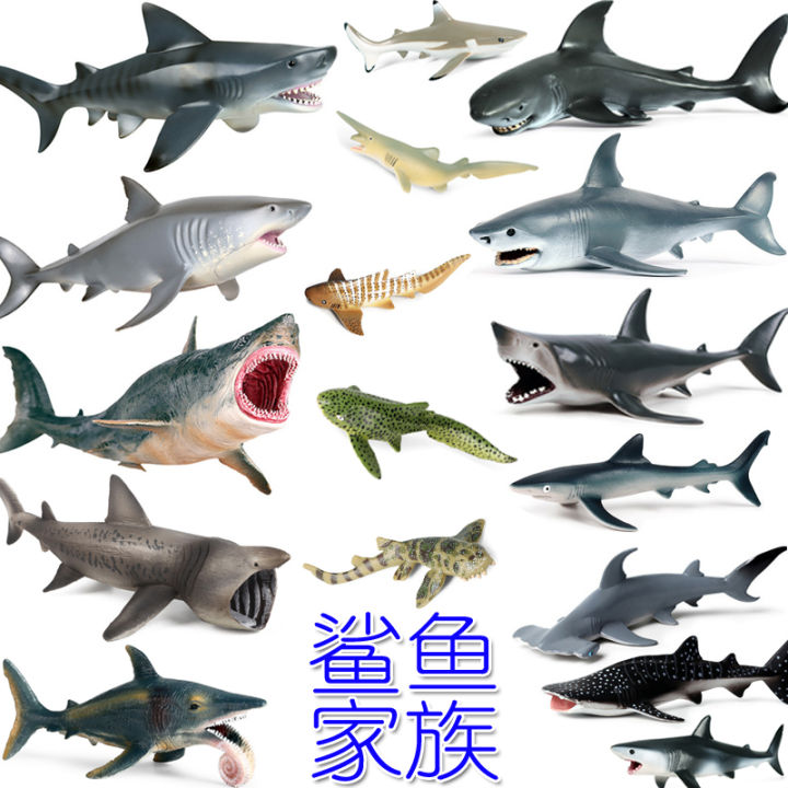 Tổng hợp 74 về mô hình cá mập trắng hay nhất  thdonghoadian