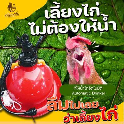 ถังน้ำไก่อัตโนมัติ/ กระปุกน้ำไก่อัตโนมัติ/ ที่ให้น้ำไก่อัตโนมัติ Automatic Drinker สายยาว3เมตร