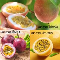 เมล็ดพันธ์ุ เสาวรส (Passion Fruit) มี 3 สายพันธุ์ บรรจุ 10 เมล็ด