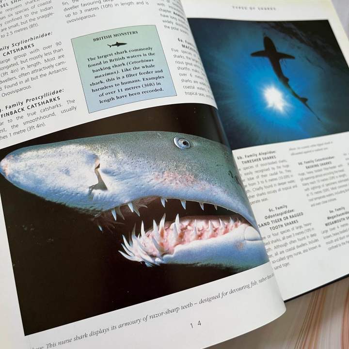 หนังสือสารานุกรมความรู้-สำหรับเด็ก-ภาพสวย-คมชัด-shark-attack