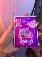 อาหารเปียกแมว whiskas junior ปลาทู สำหรับแมว 2-12 เดือน 1 ซอง ปริมาณ 80 กรี