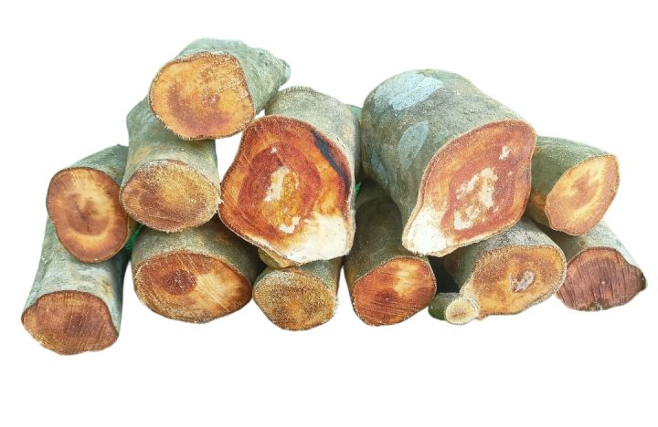 ไม้ลิ้นจี่-ไม้ลิ้นจี่รมควัน-lychee-wood-ไม้ลิ้นจี่หั่นท่อนเล็ก-1kg-สำหรับรมควันอาหาร-อบbbq-ส่งตรงจากสวน