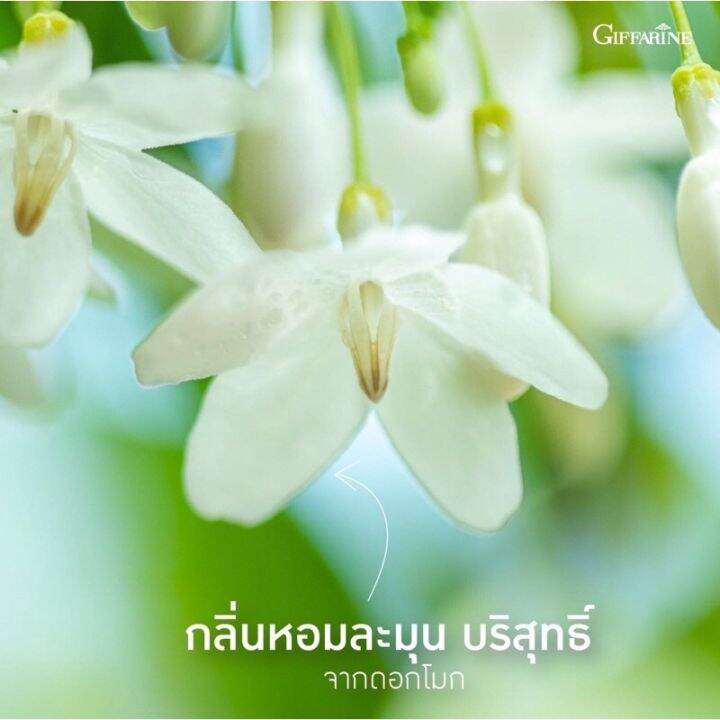 กิฟฟารีน-เจลอาบน้ำ-โมก-สปา-ฟองครีมนุ่มละมุน-วิตามินอี-ช่วยบำรุงผิวชุ่มชื้น-ไม่แห้งตึง-กลิ่นหอม