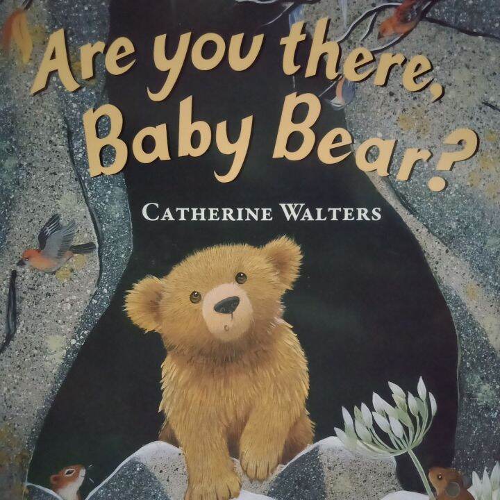 Are You There, Baby Bear? by Catherine Walters 157B | Lazada PH