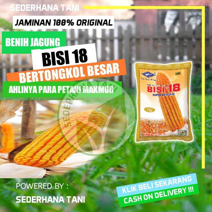 Benih Jagung Hibrida F1 Super Bisi 18 Isi 1 Kg Lazada Indonesia