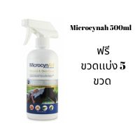 Microcynah 500ml พร้อมขวดเเบ่ง ของเเท้