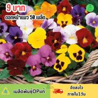 9 บาท เมล็ดพันธุ์ดอกหน้าแมวคละสี สีสดสวย