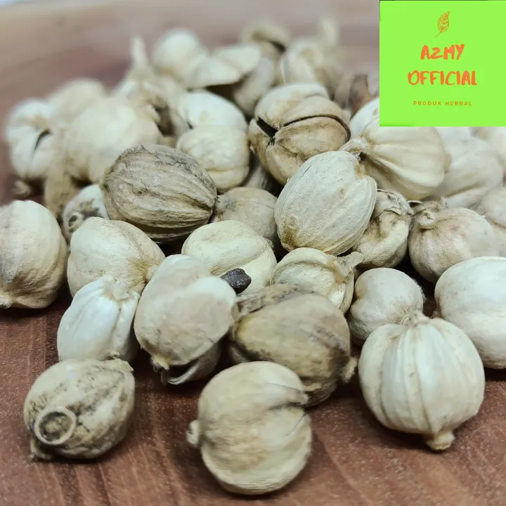 Kapulaga Jawa Kering Aslikapulaga Putih Super True Cardamom Rempah Jsr Premium Quality Kapol 9322