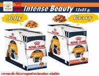 Royal Canin Intense Beauty (Gravy &amp; Jelly) อาหารแมวโตที่ต้องการดูแลผิวหนังและเส้นขน (ขนาด1 กล่อง 12 x 85 g.)