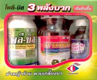 โพลี-บิส 3 พลังบวก กำจัดหญ้าร้าย ตายเกลี้ยงนา โพลีบิส โพลีบีส