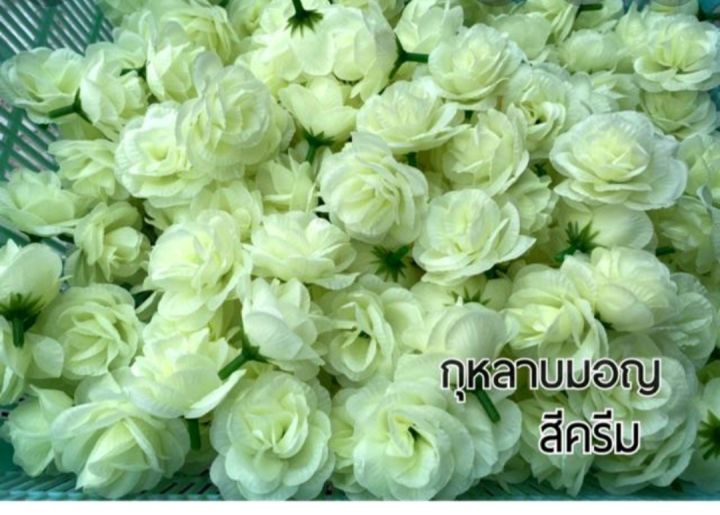 ดอกกุหลาบบานสีขาวและสีชมพู