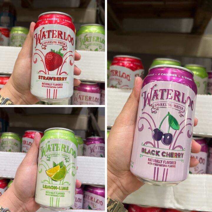 WATERLOO SPARKLING WATER 355 ML Lazada PH