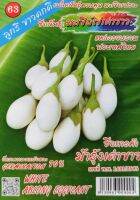 เมล็ดพันธุ์ มะเขือไข่เต่าขาว 0.5 g White Eggplant ผลทรงรี รสชาติหวานกรอบ เมล็ดผัก เมล็ดผักต่างๆ เมล็ดผักสวนครัว