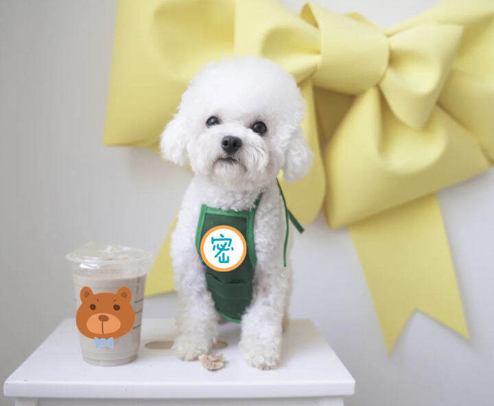 Korean Pet Apron Coffee Shop Overalls Bib Cat Dog Small Dog Teddy