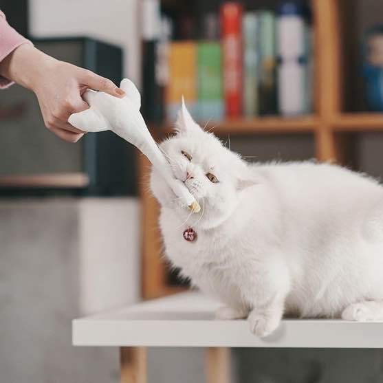 purlab-bosie-ตุ๊กตาเป็ด-ของเล่นแมว-กัญชาแมว